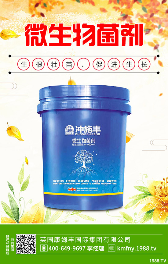 �҇��Ϸ�ԓ���ӷNֲ�{ݮ���{ݮ�߮a(ch��n)�Nֲ���g(sh��)Ҫ�c