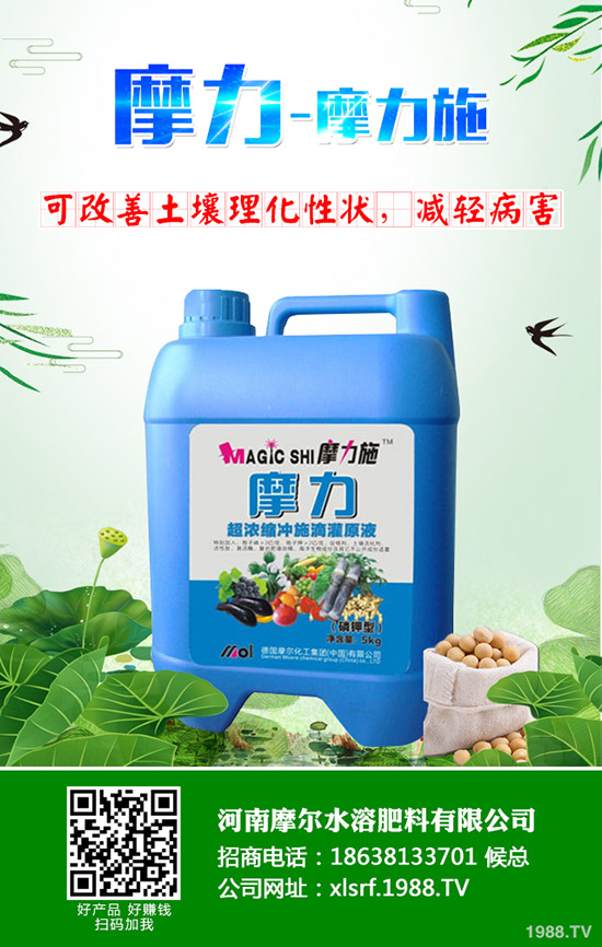 �����ʲô���Ϻ������ʩ�ʼ��g(sh��)����Щ��