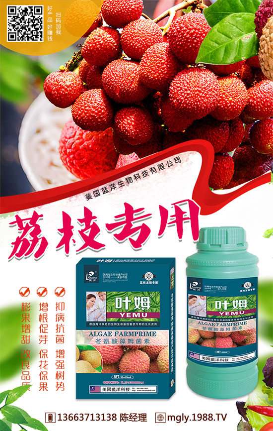 �t�탦�ص����أ��t�탦������Щ������