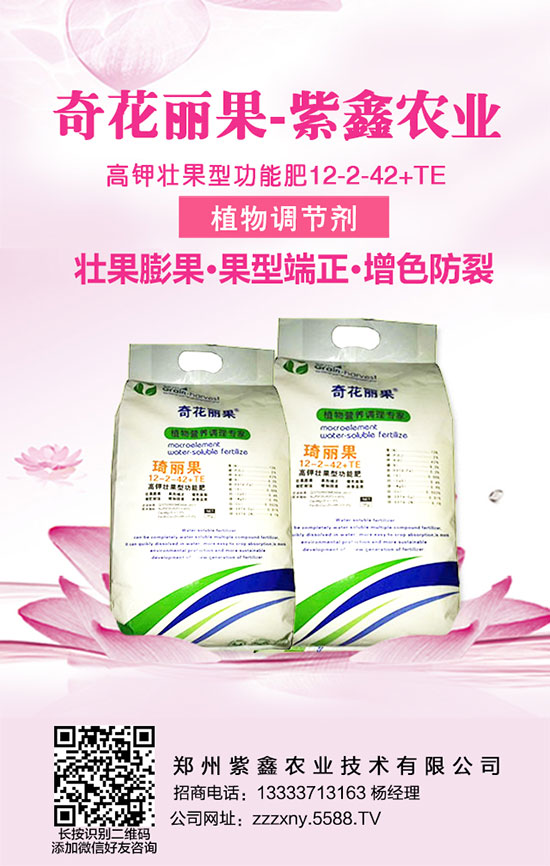     �v�^���껯���߄ݡ����ȟ����������