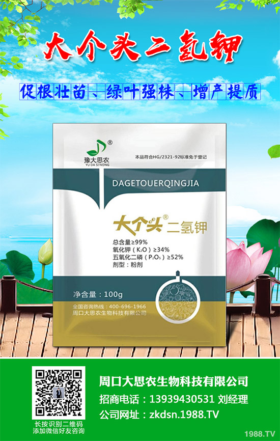 洋薊該如何種植？洋薊高產(chǎn)種植技術(shù)方案
