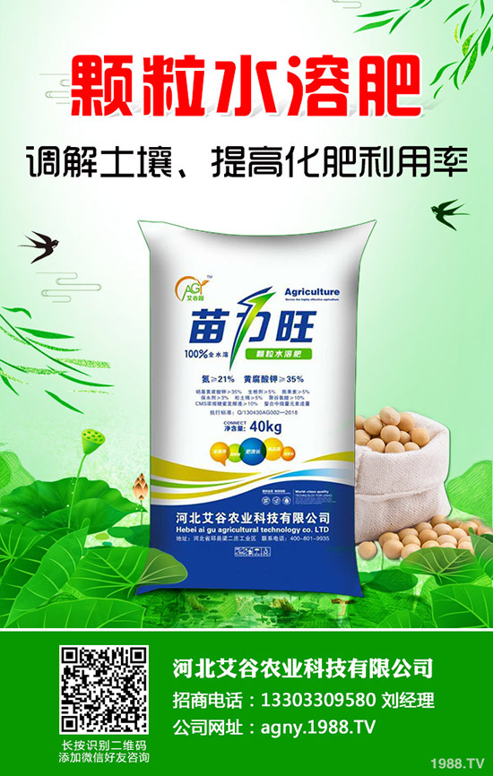 ���Ĳ�����ʩ�ʮa(ch��n)���ߣ����Ĳ�ʩ�ʼ�������Щ��