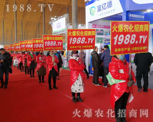     2019�ӱ�ʯ���fֲ����(hu��)�ϻ��r(n��ng)���W(w��ng)��Ӣ�ɳ�������(zh��n)��(j��)��