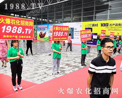     ���r(n��ng)�����̾W(w��ng)��2019�����r(n��ng)�Y�������G�ؼ����ի@�M�M