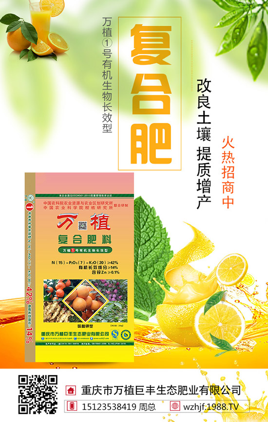 2019��8��22�ս��Շ������؃r�������߄��A�y�C���u��