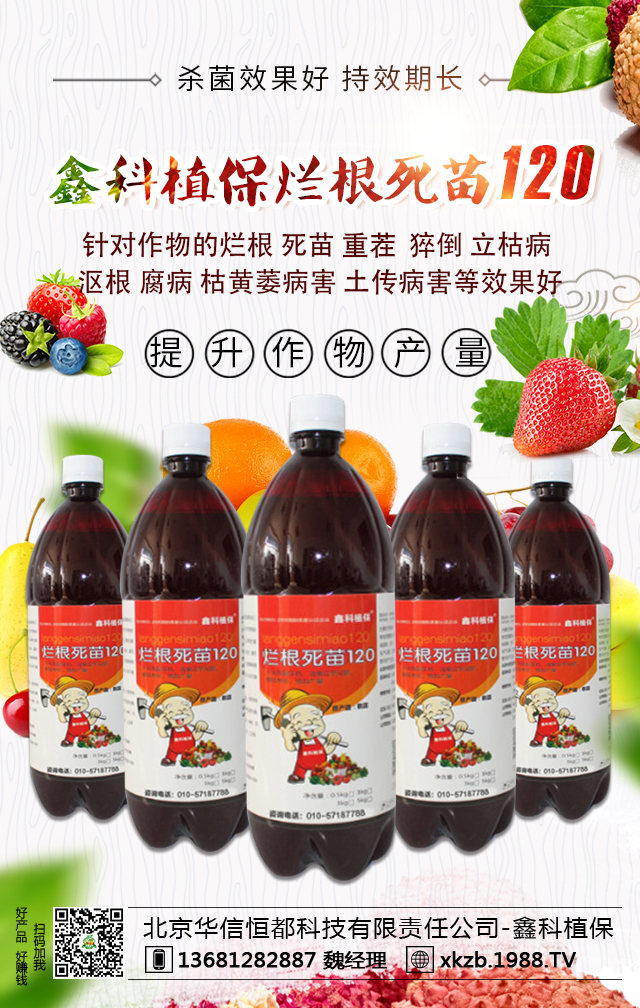 �����A�ź㶼�Ƽ�����؟�ι�˾-�ο�ֲ��1