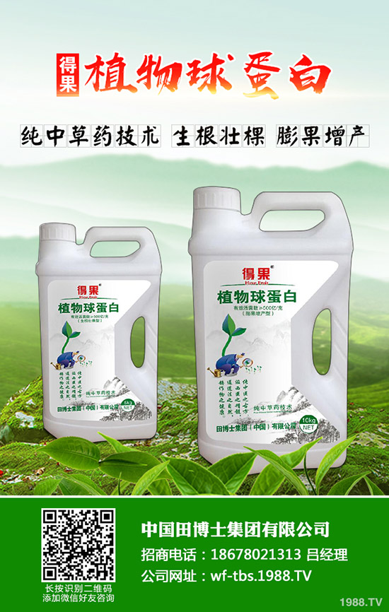     秋季種植什么蔬菜比較好！效益比較好！秋季種植指南！