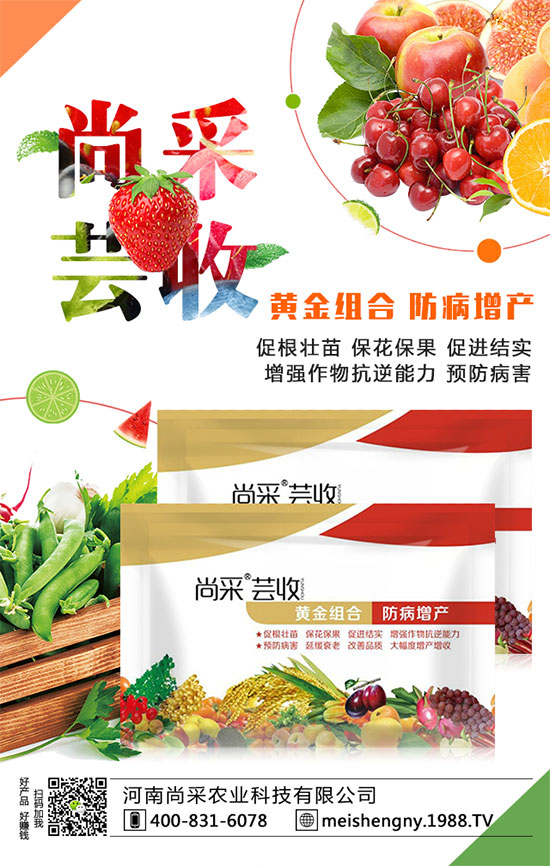 ���������ʵ͵�ԭ����ʲô�������������������ʣ�