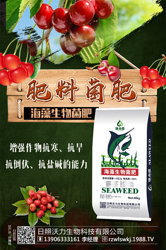 豆角要不要打尖？豆角的打尖方法有哪些？