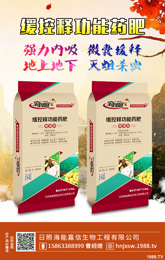 芹菜該如何種植？注意些什么？芹菜高產(chǎn)種植方案