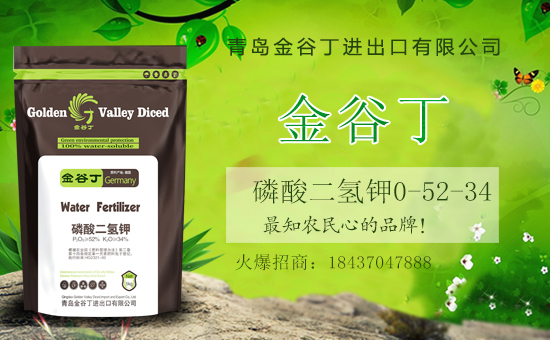 �������⛹����m������������Ҫ�����������@���������a(ch��n)���|(zh��)����������