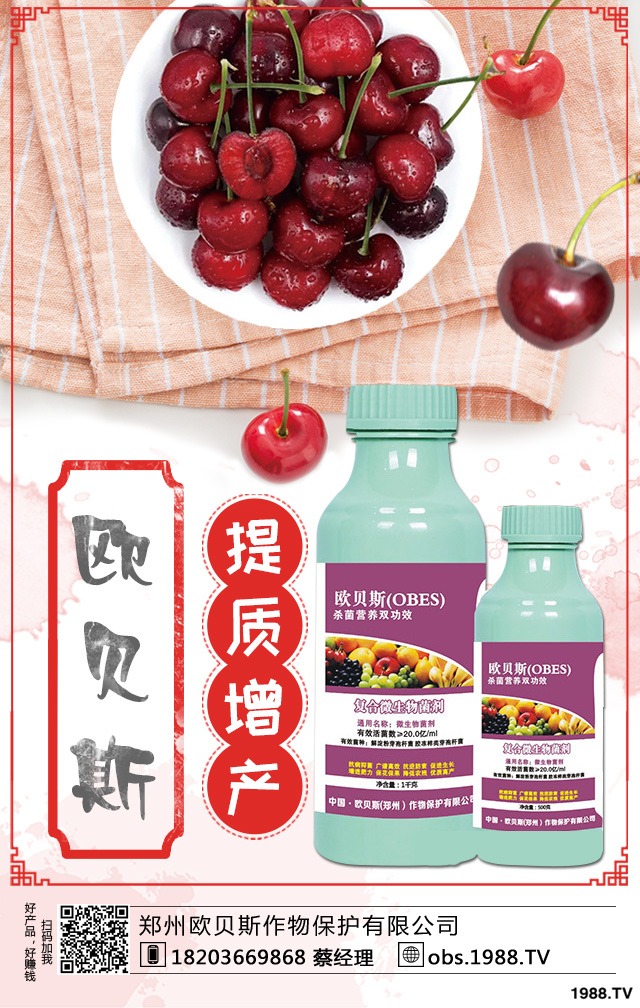 ��������ηNֲ���������(sh��)���༼�g(sh��)