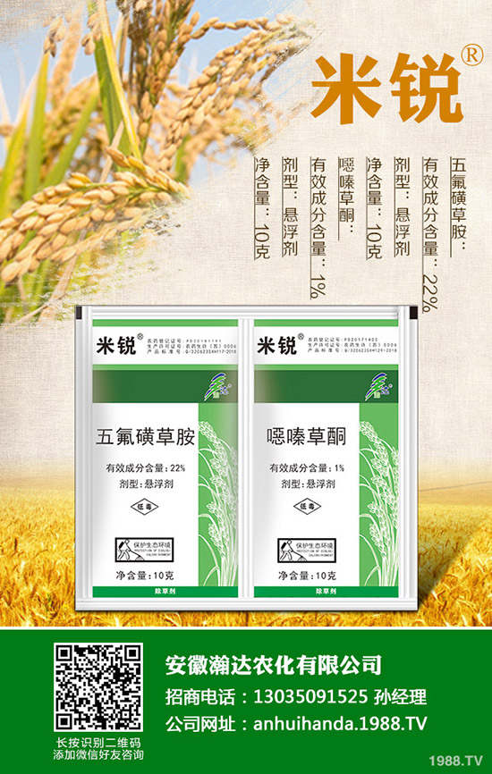 �Բ�������Щ��̎�����˵ĠI(y��ng)�B(y��ng)�r(ji��)ֵ����Щ��