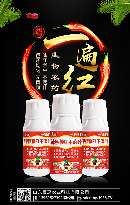 辣椒催紅早熟早上市！辣椒催紅不落葉，就用“一遍紅”！效果好實力強！