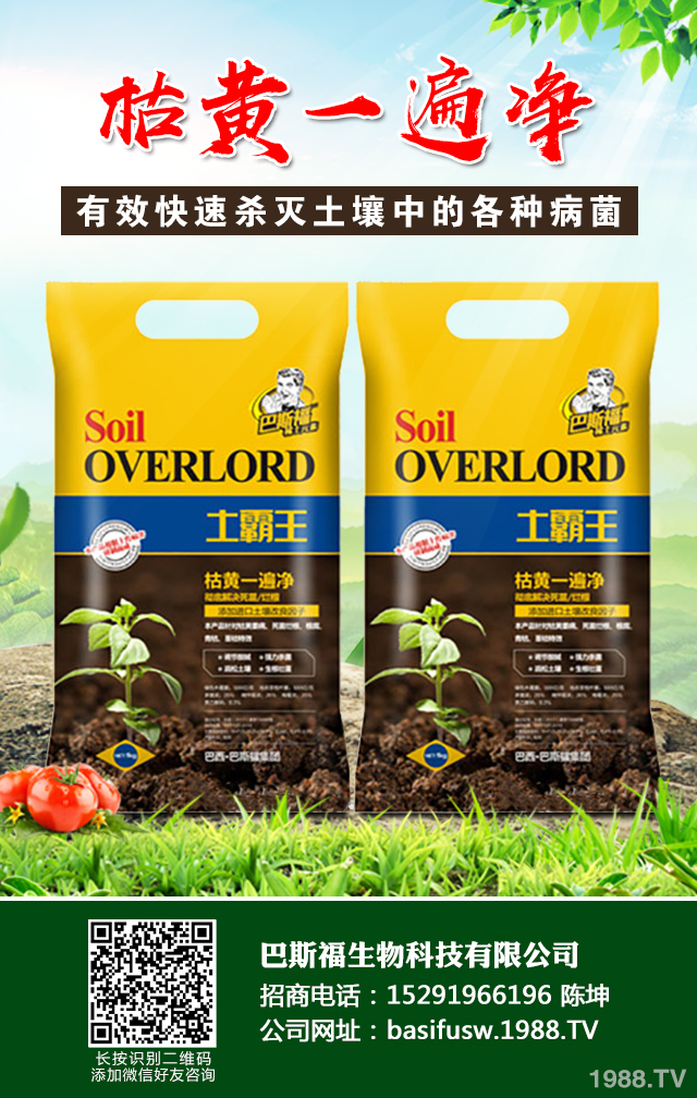 小麥葉子發(fā)黃怎么辦?小麥葉子發(fā)黃防治技巧