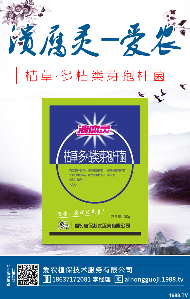 大白菜病害怎么防治？秋播大白菜病害防治方法