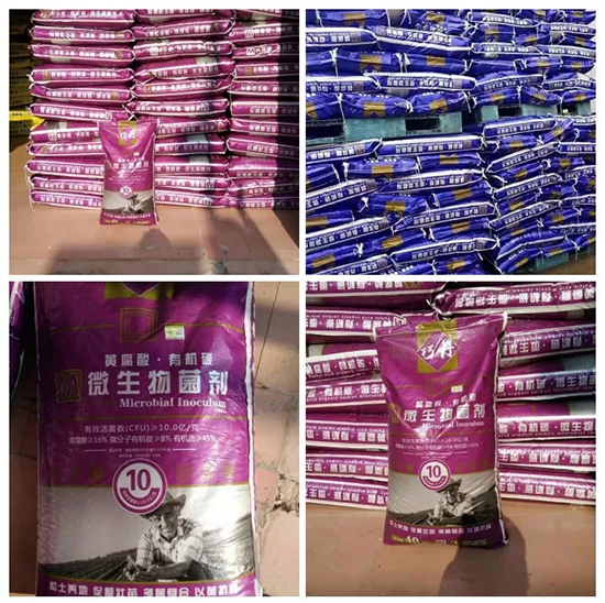 【微生物菌劑+有機(jī)肥】效果牛逼!施一遍頂三遍,省力又高產(chǎn)!