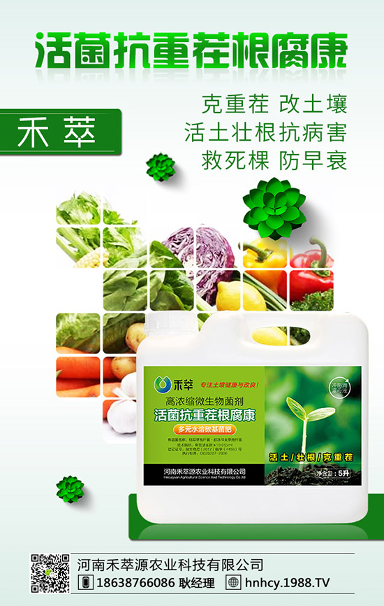 三角梅怎么嫁接？三角梅嫁接方法！