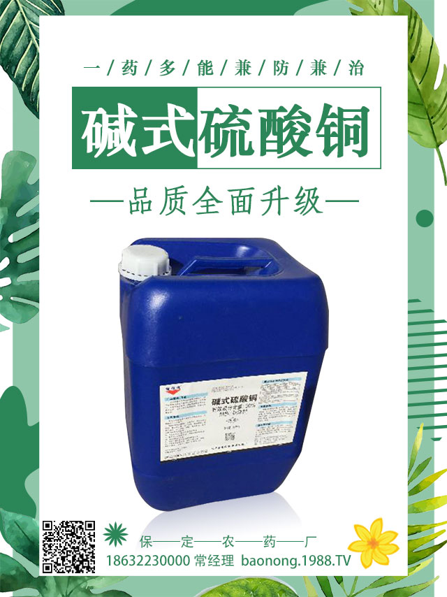 ��������������ô�k�����Ӽ޽ӿɱ�����������