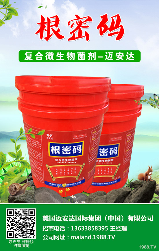 �����Jʲô�r(sh��)��Nֲ�������J�Nֲ���g(sh��)��