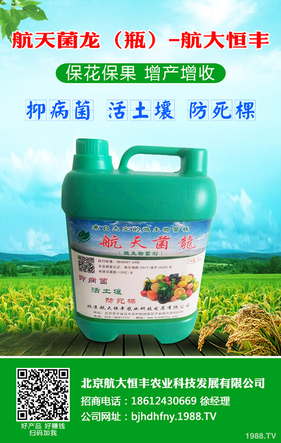 青蘿卜什么時候種植，青蘿卜栽培要點！