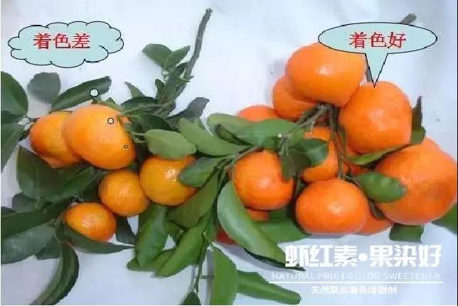 ��Ȼ����(sh��)��ɫ�����������r�t�ء��Ⱦ����