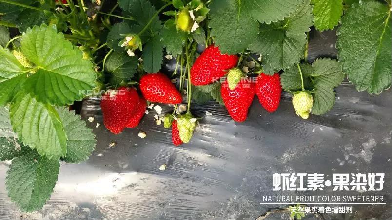 ��Ȼ����(sh��)��ɫ�����������r�t�ء��Ⱦ����