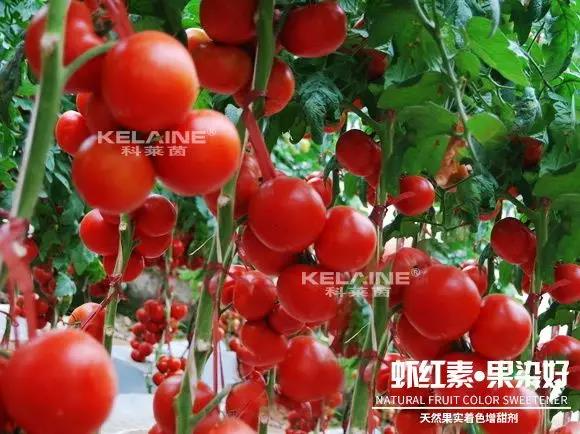 ��Ȼ����(sh��)��ɫ�����������r�t�ء��Ⱦ�ã�