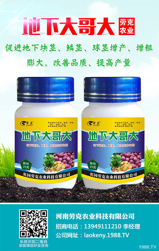 �������Щ�I�B(y��ng)�rֵ���Խ������Щ��̎����˵Ĺ�Ч�c����