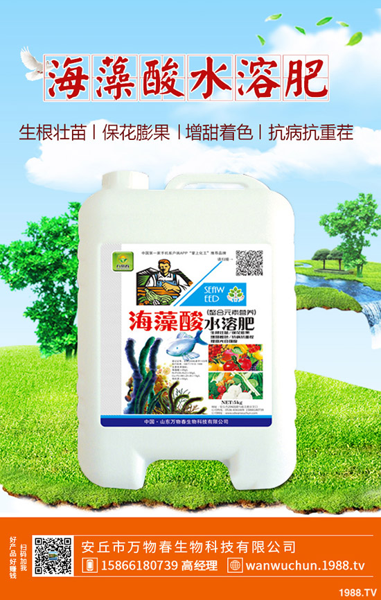 蘆薈多久澆一次水？蘆薈澆水注意事項！