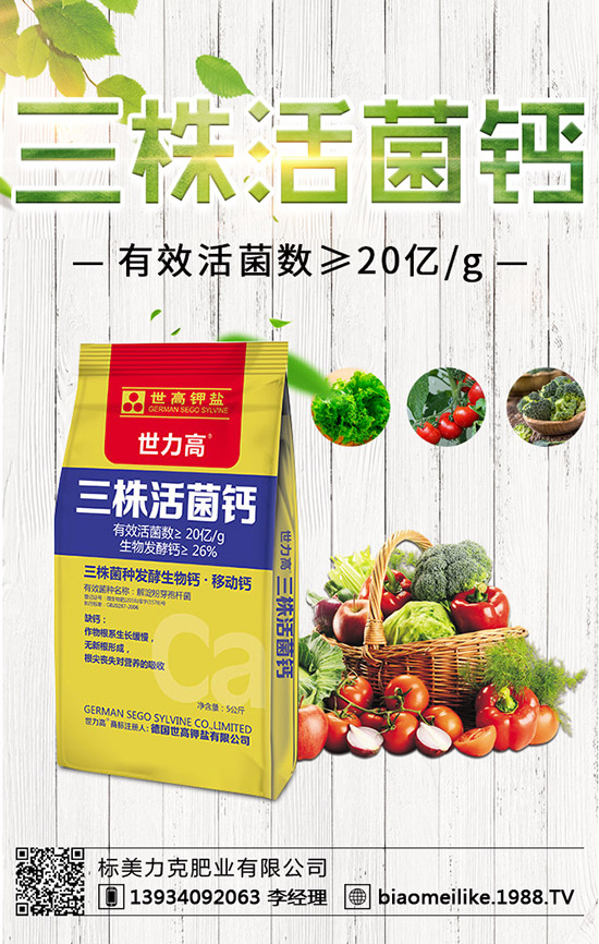 秋黃瓜什么時(shí)候栽培好，秋黃瓜栽培的注意事項(xiàng)！