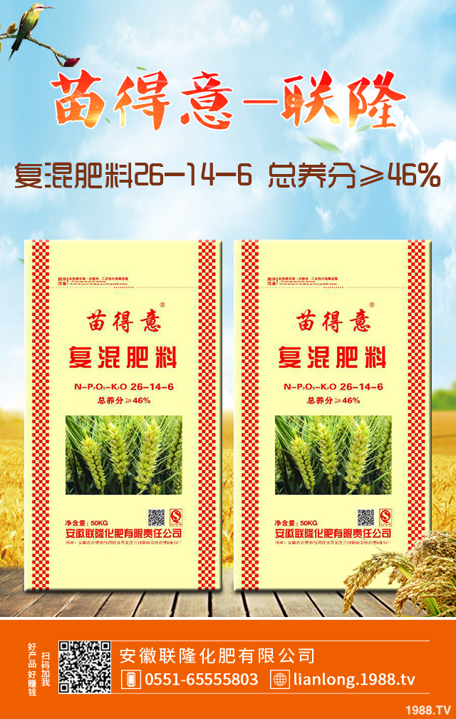 С����ô����Ч������С�����������g����