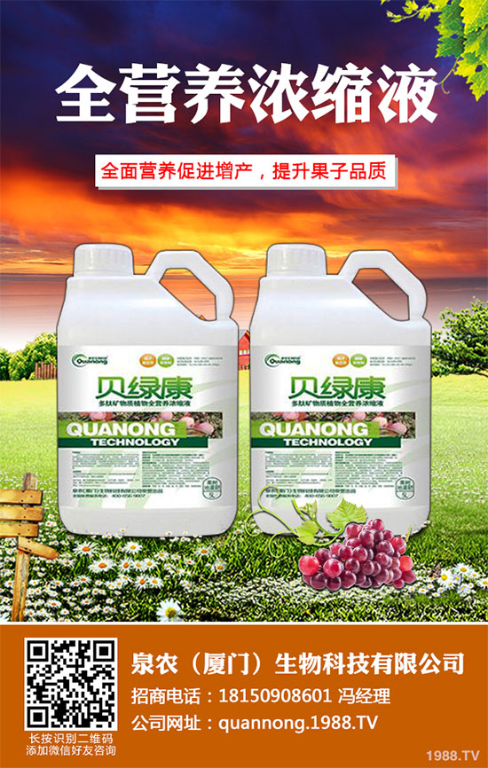 ���[��Ҋ(ji��n)���x(ch��ng)������Щ��ԓ��η��������[�������μ��g(sh��)