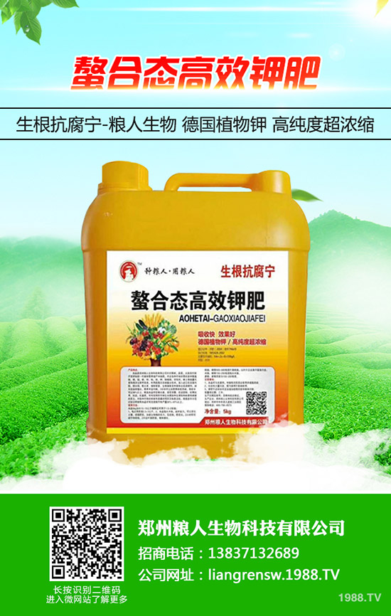 ���y�����ʩ�������y���߮a(ch��n)ʩ��Ҫ�c(di��n)��