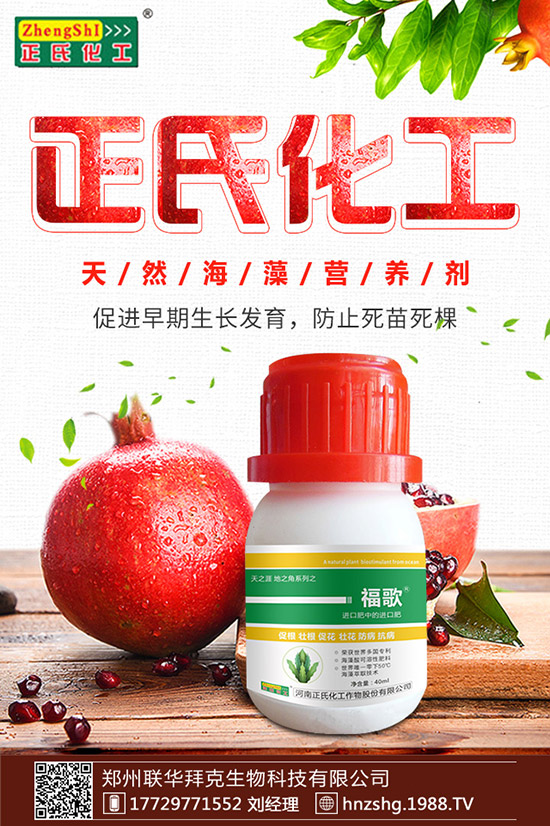 ���y����ʲô���ã����y���Ĺ�Ч�cʳ�ý�����