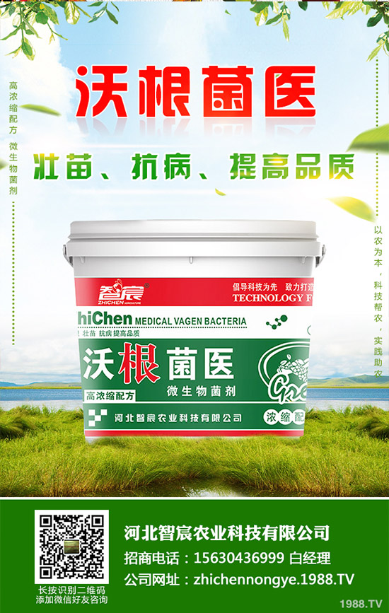 �Ծ��Ĳ�����Щ��̎�����Ĳ˵Ĺ�Ч�����ã�