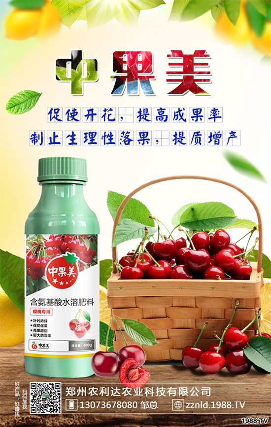 ��ʲô�r(sh��)��N�Nֲ���𽷷NֲҪ�c(di��n)��