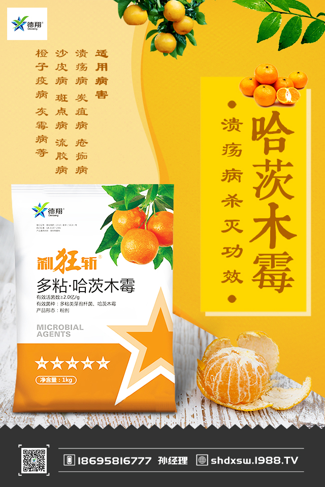 ����(sh��)�ز粡��ô�k������(sh��)�ز粡�İl(f��)���c���μ���