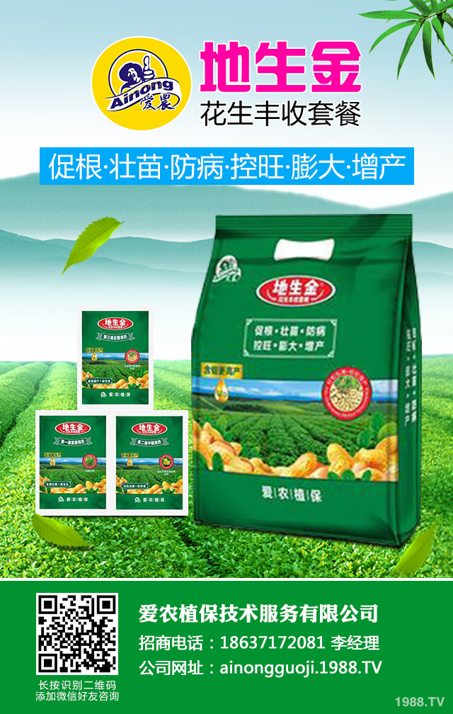 地膜棉花倒伏如何防治？地膜棉花倒伏應(yīng)對(duì)措施