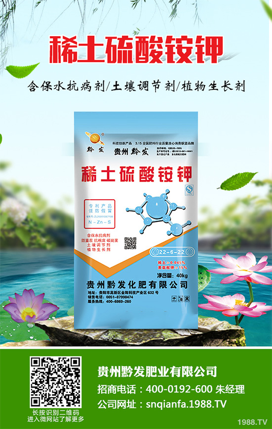 萵苣什么時候種植?萵苣高產種植方案