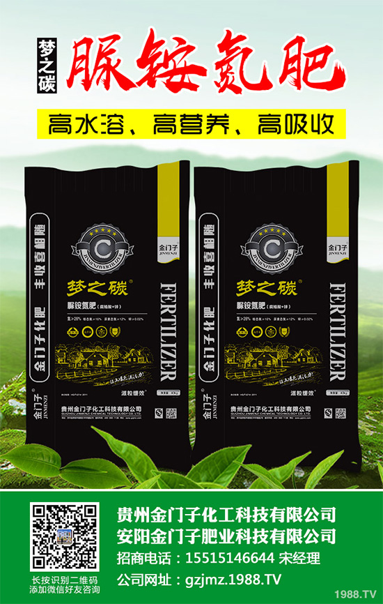 萵苣什么時候種植?萵苣高產種植方案