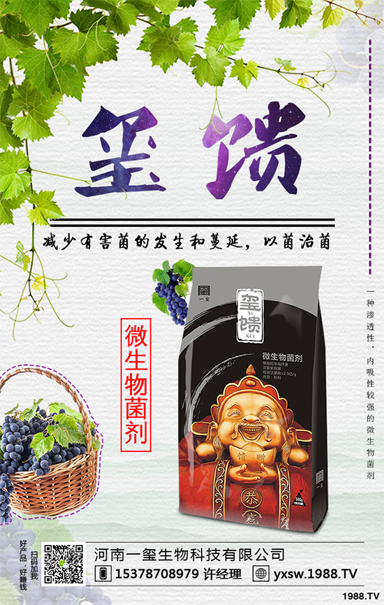     北方怎樣種植藍(lán)莓？種植藍(lán)莓應(yīng)該注意什么？