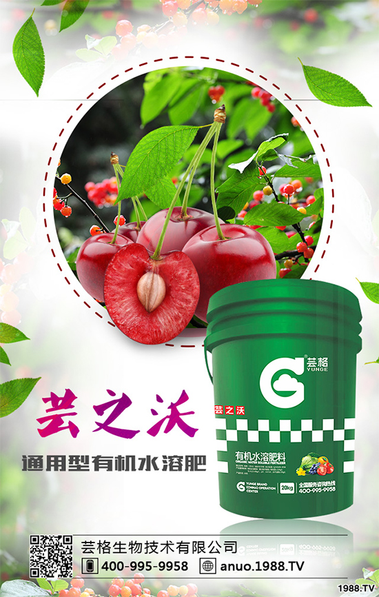 大蔥灰霉病有哪些危害？該如何防治？大蔥灰霉病防治措施