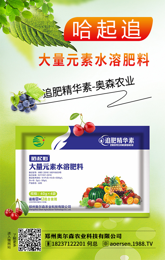 大蔥灰霉病有哪些危害？該如何防治？大蔥灰霉病防治措施