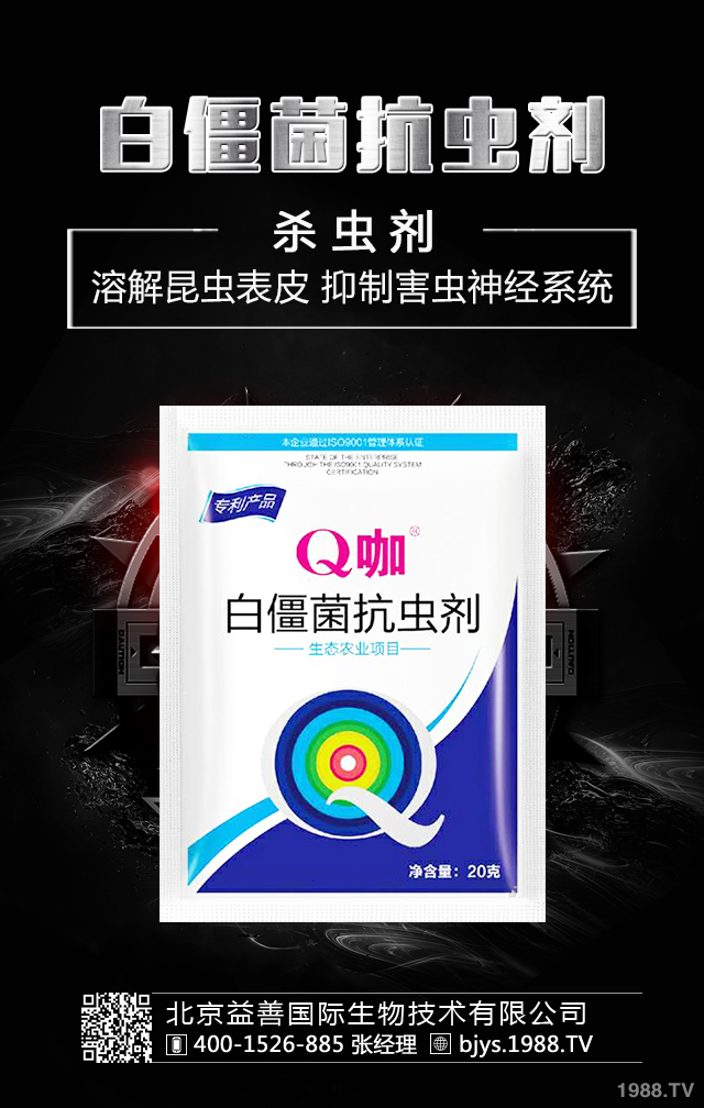 �¼����x����ô�������¼����x�����μ��\