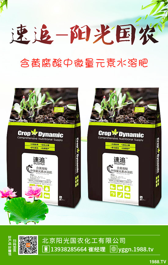     國慶將至！磷酸二銨價格是否影響？最新二銨行情分析2019-9-241-(238)