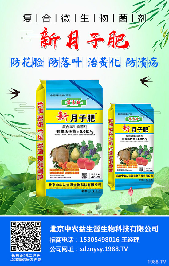 芹菜燒心、空心、葉柄開裂什么原因？芹菜燒心防治方法有哪些？