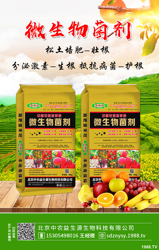     大棚芹菜常見病害及蟲害有哪些？防治措施及藥劑使用推薦！