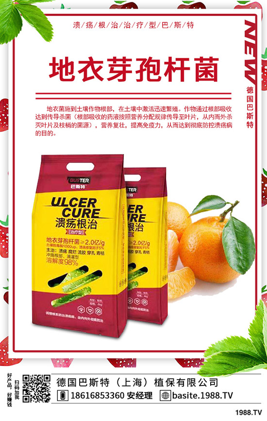 �t��̦��ô�N���t��̦�ķNֲ�r�g���Nֲ������