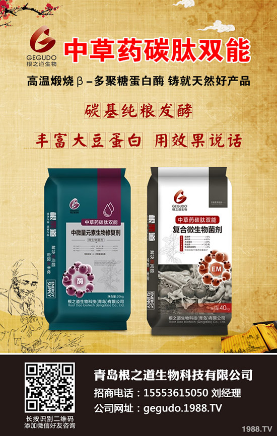     ����ʮ����ʲô����ע�����(xi��ng)�����ӹ���������10�¹���ָ��(d��o)���h��